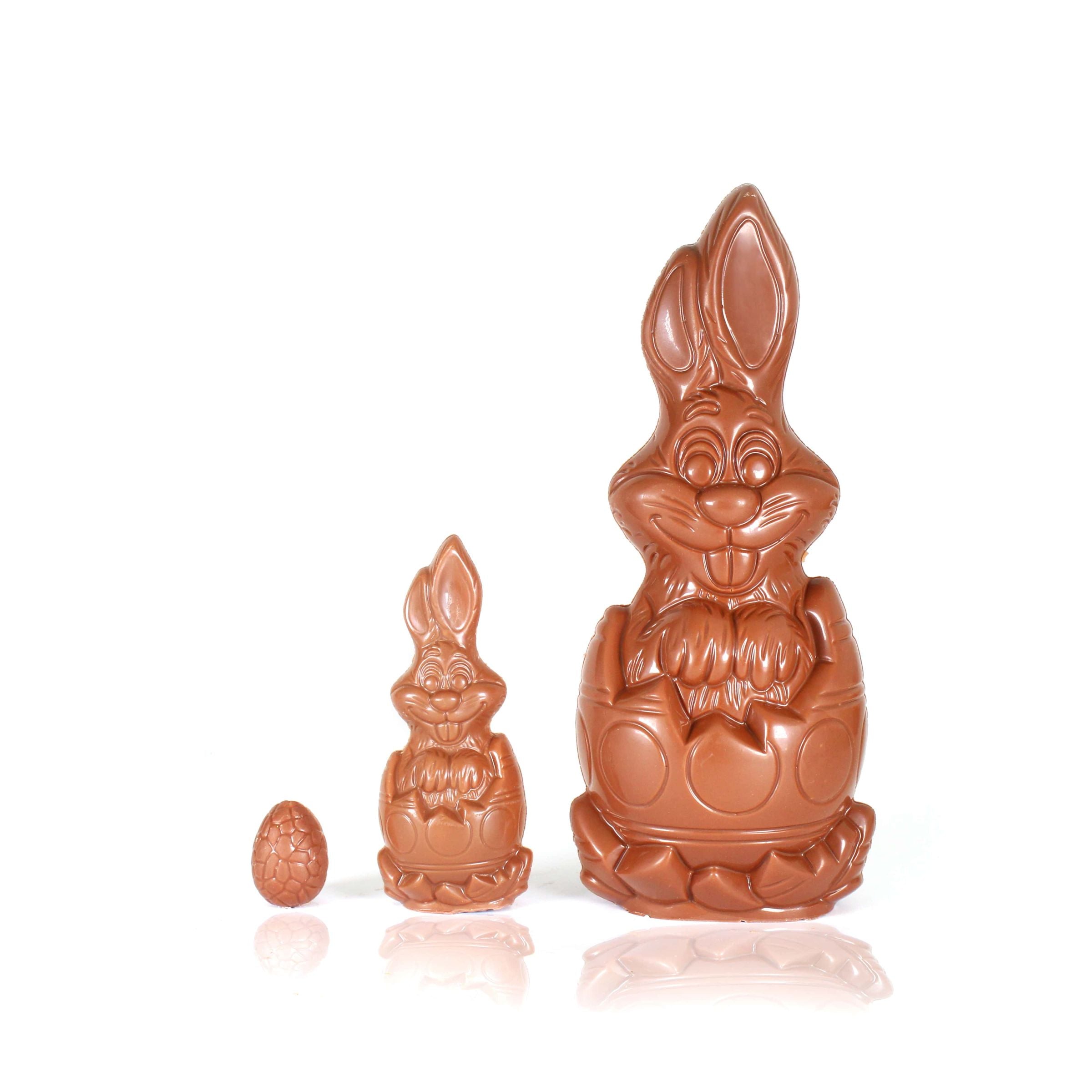 PASCUA: Conejo divertido XL