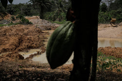 REUTERS/Francis Kokoroko